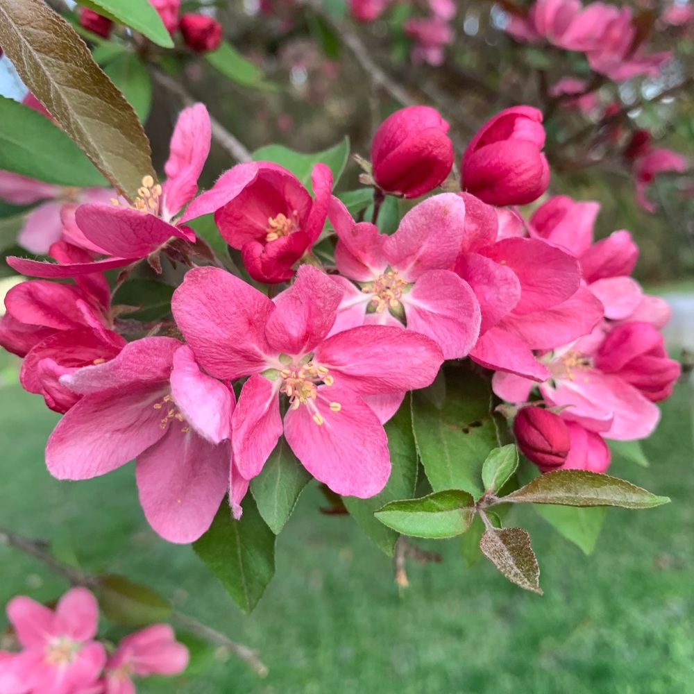 Meet your Posher, Salma